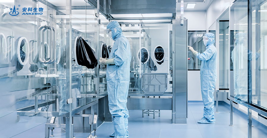 安徽ng电子游戏生物工程(集团)股份有限公司董事长、总裁宋礼华：坚定“立足安徽、扎根安徽、建设安徽”信念